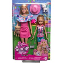 Barbie ve Stacie Kız Kardeşler Ikili Set HRM09