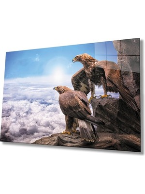 Miyrem Akbaba Cam Tablo 36 x 23-Mıyrem