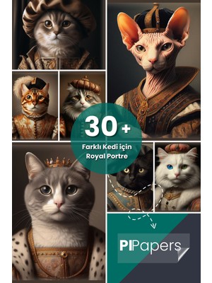 Pi Papers Iki Renkli Kedi Poster, Statik Kağıt Premium Baskı Poster, Siyah Beyaz Kedi, Yapay Zeka Tasarım