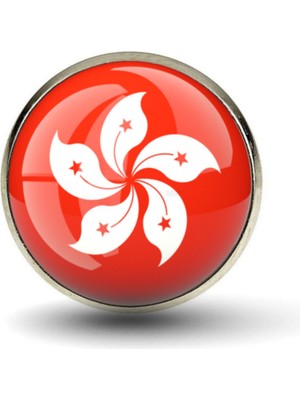 Market66 Honkong Rozeti Hong Kong Bayrağı Çelik Yaka Rozet Yuvarlak 3D Camlı Pin