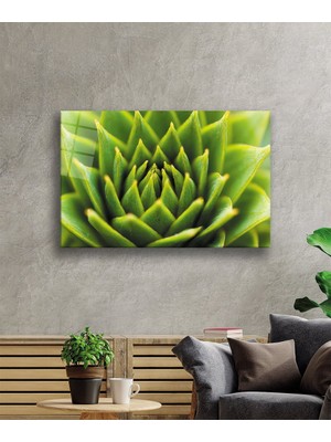 Yeşil Bitki Green Plant  36X23-MIYREM