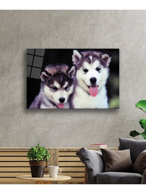 Köpekler Cam TABLOMIYREM36X23-MIYREM