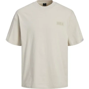Jack & Jones Erkek T-Shirt 12255604