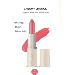 Creamy Lipstick 02 Raisin 4 gr