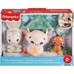 Fisher-Price Duyuları Harekete Geçiren Oyun Seti