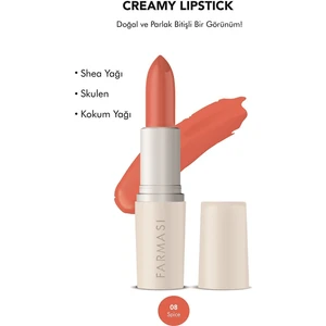 Creamy Lipstick 08 Spice 4 gr
