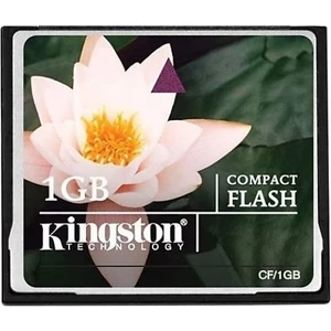 1 GB Compact Flash Hafıza Kartı