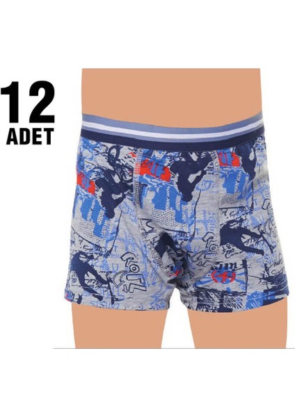 Elestan Empirme Erkek Çocuk Boxer 12'li