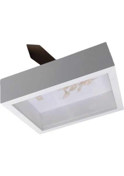 Silhouette Ekran Çerçevesi Yüzen Numune Preslenmiş Çiçekler Fotoğraf Resim Kutusu Tutucu 3D Yapıt Çiçek Masa Üstü Depolama Standı Beyaz (Yurt Dışından)