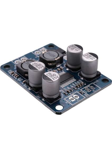 Silhouette 2 Adet XH-M314 TPA3118 2X45W 12V 28V Stereo Ses Bluetooth Dijital Güç Amplifikatörü Kurulu (Yurt Dışından) fiyatları