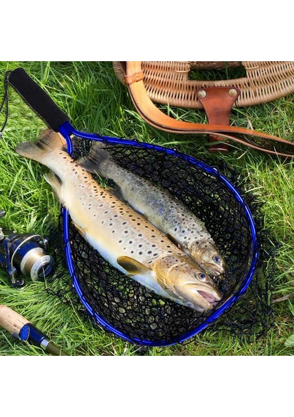 Altın Tarzı Alüminyum Alaşımlı Kutup Kaymaz Balık Ağı Balıkları Yakalamak Iniş Balık Ağı Taşınabilir Uygun Balık Ağı Kırmızı De Pesca (Yurt Dışından) modelleri