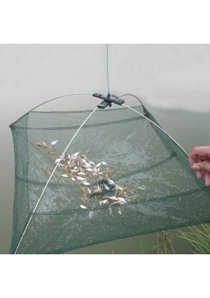 Katlanmış Balık Ağı Küçük Frimp Minnow Yengeç Yemler Dip Döküm Yakalama Balık Yengeç Ağı Mesh Net 60CM Kaldırma Yakalama Kaldırma Tr U6K4 (Yurt Dışından)