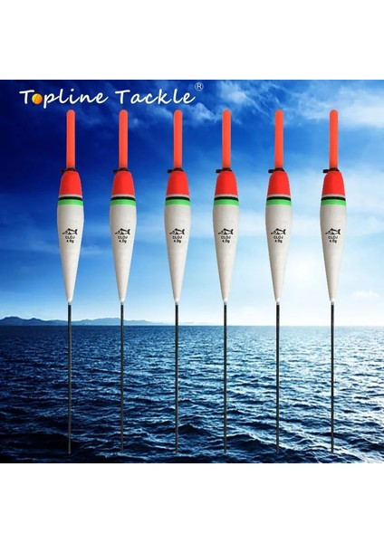F Stili Topline Balık Tutma Şamandırası Gece Bobbers Hafif Sazan Olta Takımı Mücadele Eva LED Kaya Parlayan Balsa Ahşap Gece Görüş Floater (Yurt Dışından)