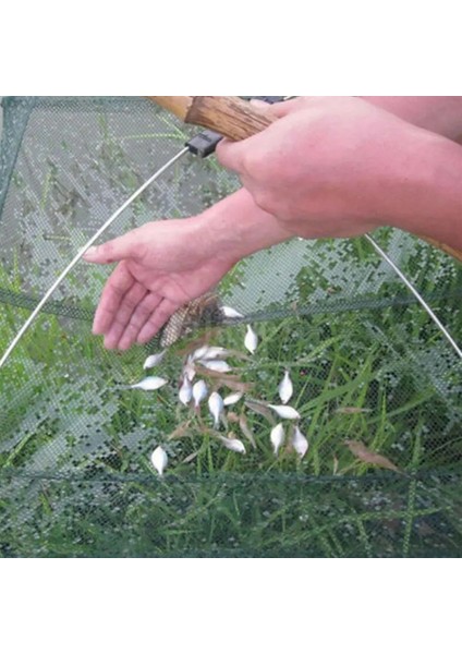 Katlanmış Balık Ağı Küçük Frimp Minnow Yengeç Yemler Dip Döküm Yakalama Balık Yengeç Ağı Mesh Net 60CM Kaldırma Yakalama Kaldırma Tr U6K4 (Yurt Dışından) modelleri