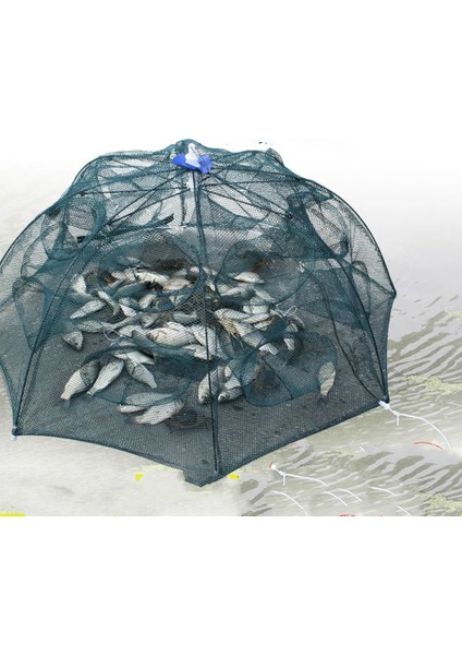 A- 4 Delik Stili Balık Ağı Katlanmış Taşınabilir Altıgen Balık Ağı Döküm Ağları Crayfrimp Catcher Tank Tuzak Kafesleri Mesh Tra (Yurt Dışından)