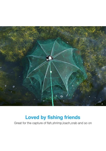 A- 4 Delik Stili Balık Ağı Katlanmış Taşınabilir Altıgen Balık Ağı Döküm Ağları Crayfrimp Catcher Tank Tuzak Kafesleri Mesh Tra (Yurt Dışından) modelleri