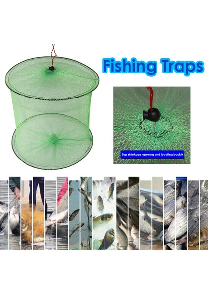 Katlanabilir 2 Katmanlı Balık Koruma Ağları Mesh Açık Taşınabilir Naylon Balık Yengeç Istakoz Depolama Kafesi Balık Tutma Tuzağı Net Olta Takımı (Yurt Dışından) modelleri