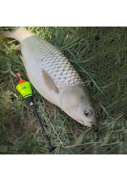 Bir Stil Balight Ortable Otomatik Balıkçılık Şamandıra Balıkçılık Aksesuarları Hızlı Balıkçılık Artefakt Balıkçılık Şamandıra Cihazı Balıkçılık Araçları Sıcak (Yurt Dışından) modelleri