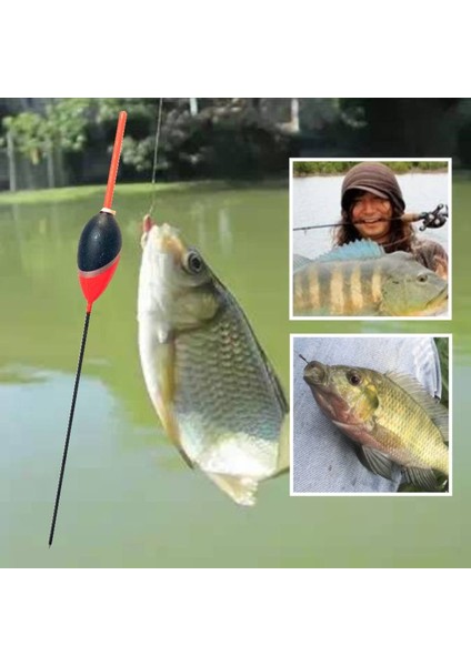 Beyaz Stil Balıkçılık Şamandıraları Set Şamandıra Bobbers Çubuk Şamandıralar Dalgalanan Beyaz Renk Şamandıra Şamandıra Waggler Şamandıra Göl Teknesi Balıkçılık Şamandırası Bobber (Yurt Dışından) fırsatları