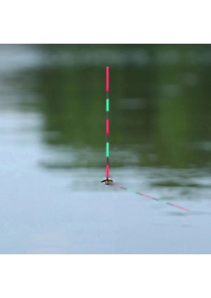 YD05 Stili Balıkçılık Şamandıra Elektrikli LED Işık Yeni Balık Tutma Şamandırası Superfine Workma Tatlı Su Takımları Olta Takımı Şamandıralar Araçları (Yurt Dışından) fırsatları