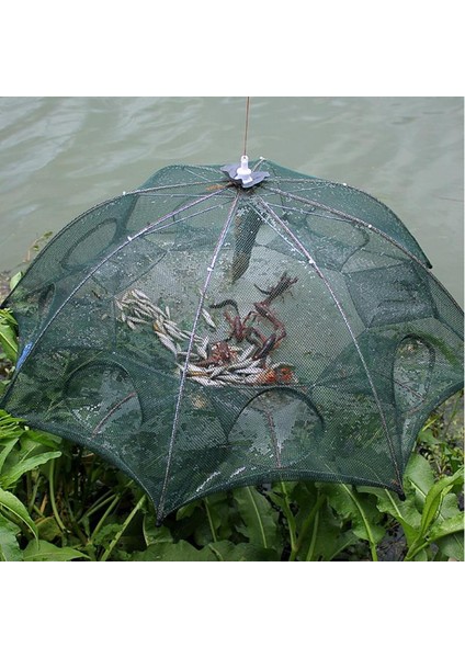 6 Taraf 6 Delik Stili Güçlendirilmiş Otomatik Balık Ağı Karides Kafesi Naylon Katlanabilir Balık Tuzağı Döküm Net Döküm Katlanır Balıkçılık Ağı Açık (Yurt Dışından)