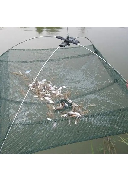 Katlanmış Balık Ağı Küçük Frimp Minnow Yengeç Yemler Dökme Örgü Tuzak Dip Kaldırma Net Kaldırma Yakalama Balık Ağı Yakalama Yengeç 60CM (Yurt Dışından)