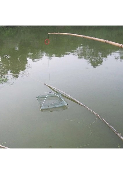 Katlanmış Balık Ağı Küçük Frimp Minnow Yengeç Yemler Dökme Örgü Tuzak Dip Kaldırma Net Kaldırma Yakalama Balık Ağı Yakalama Yengeç 60CM (Yurt Dışından)