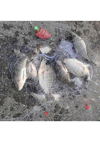 No.3 Tarzı Yeni Balık Ağı Tasarım Bakır Yay Sürü Atma Trolling Açık Spor Ekipmanları Ağları Olta Takımı Araçları Balık Ağı (Yurt Dışından) indirimleri