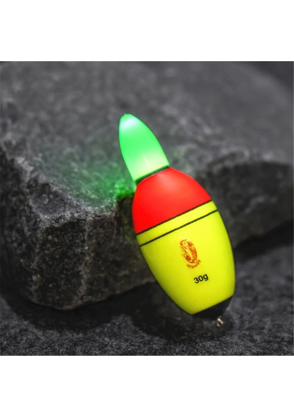 40G Tarzı 20G 30G 35G 40G Akıllı Elektronik Işık Balık Tutma Şamandıraları Bobber Şamandıra Balık Gelişmiş Kızdırma Eva Plastik Şamandıra Bite Alarmı Pesca (Yurt Dışından) fırsatları