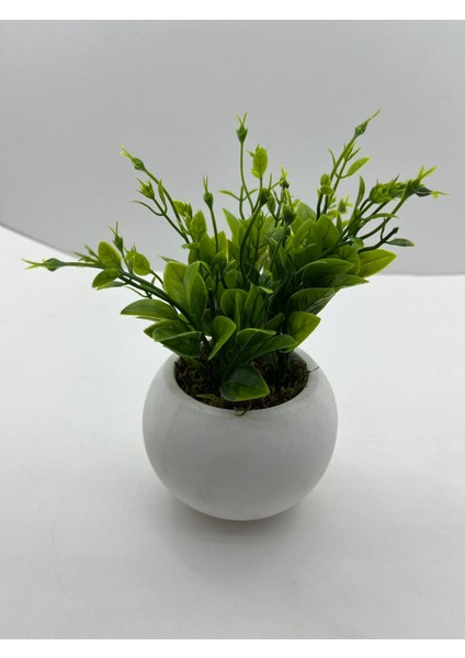 Mini Beton Saksı 3'lü Set Gerçek Yosunlu Yapay Çiçek Aranjman Hediyelik Paket Saksı fiyatları