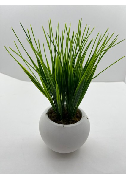 Mini Beton Saksı 3'lü Set Gerçek Yosunlu Yapay Çiçek Aranjman Hediyelik Paket Saksı fırsatları