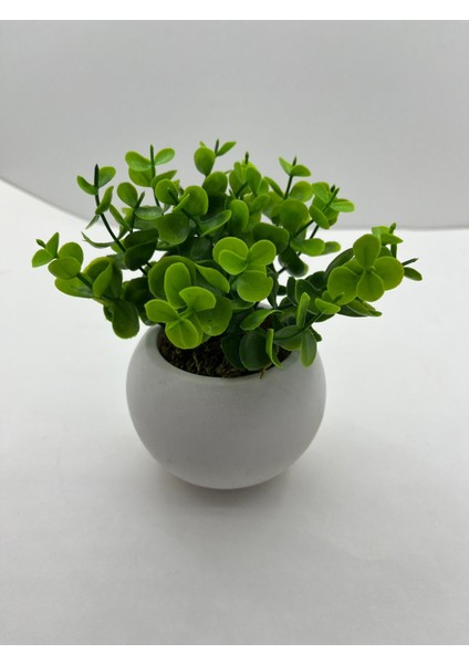 Mini Beton Saksı 3'lü Set Gerçek Yosunlu Yapay Çiçek Aranjman Hediyelik Paket Saksı indirimleri