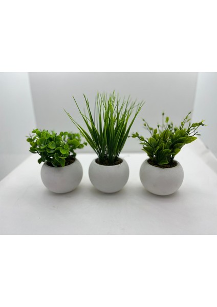 Mini Beton Saksı 3'lü Set Gerçek Yosunlu Yapay Çiçek Aranjman Hediyelik Paket Saksı