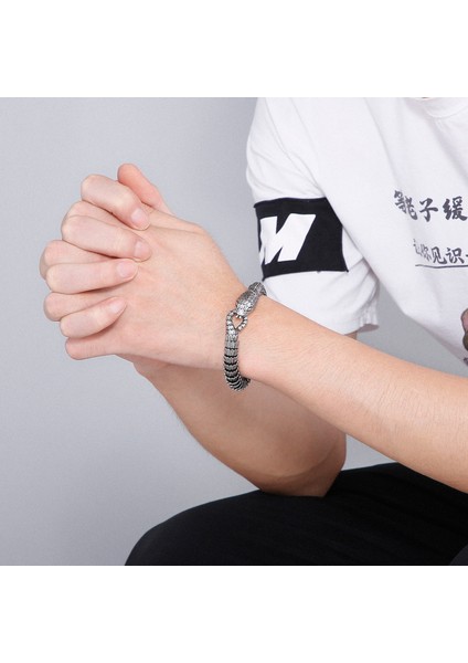 21CM Tarzı Bağbozumu Siyah Punk Hayvan Yılan Kafası Charm Bilezik Erkekler Paslanmaz Çelik Mat Viper Yılan Nimet Pulsera Bileklik Kuyumcu 2019 (Yurt Dışından) fırsatları