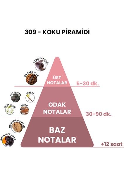 BEX 309 - T. Vanil 50ml Kadın Parfüm