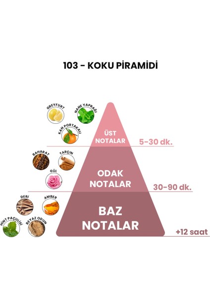 BEX 103 - Million 50 Ml Erkek Parfümü