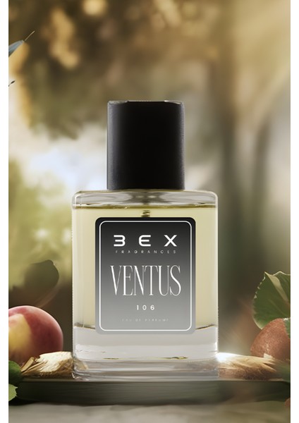 106 - Ventus 50 Ml Erkek Parfümü