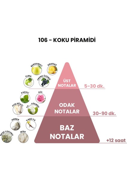 106 - Ventus 50 Ml Erkek Parfümü