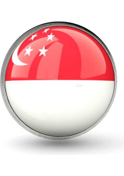 Singapur Rozeti Sigapur Singapore Bayrağı Yaka Çelik Rozet Yuvarlak 3D Pin
