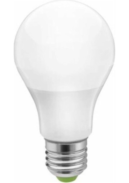 Sılver 9 Watt LED Ampul Beyaz Işık