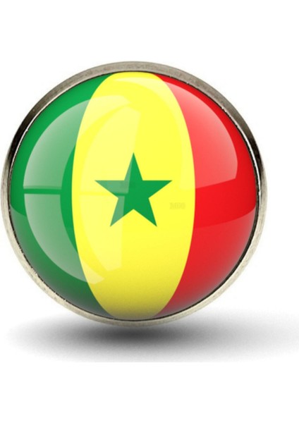 Senegal Rozet Afrika Senegalese Ülke Bayrağı Paslanmaz Çelik 3D Camlı Rozet