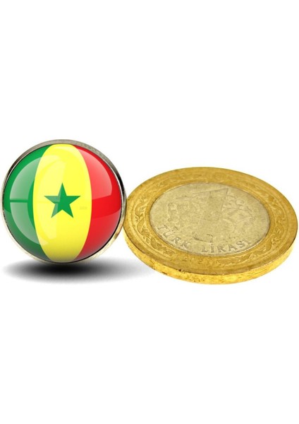 Senegal Rozet Afrika Senegalese Ülke Bayrağı Paslanmaz Çelik 3D Camlı Rozet modelleri