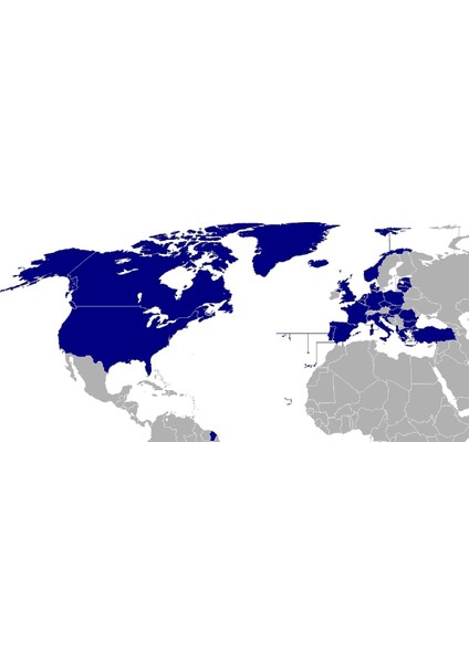Nato Birliği Yaka Rozeti Yıldızlı Nato Bayrağı Yuvarlak Çelik Rozet fiyatları
