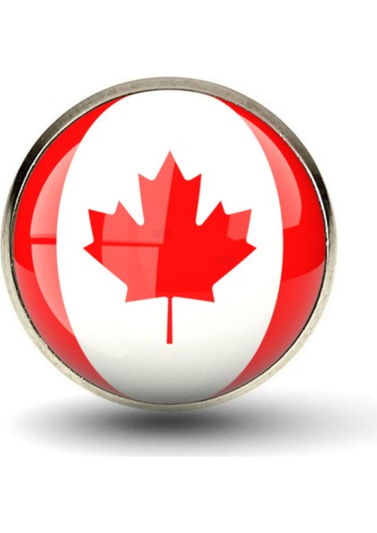 Kanada Rozeti Canada Ülke Bayrağı Yuvarlak Paslanmaz Çelik 3D Camlı Rozet fiyatları