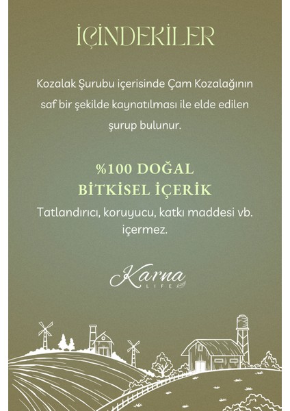 Çam Kozalak Şurubu 500 ml