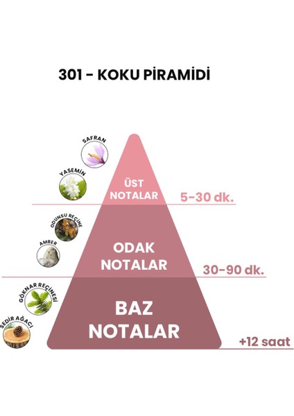 3ex 301 - Bacc 50ml Kadın Parfüm