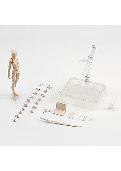 14CM Sketch Draw Male Female Movable Body Kun Body Chan Joint Pain Anime Figure Shf Action Figure Toy Model Draw Mannequin (Yurt Dışından)
