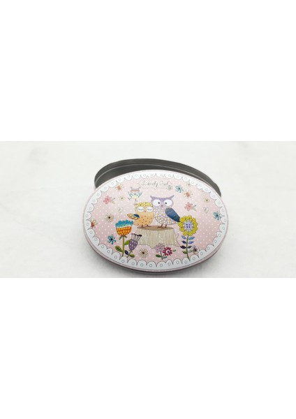 Pastel Resim Temalı Takı Aksesuar Saklama Metal Kutusu Model 08 fiyatları