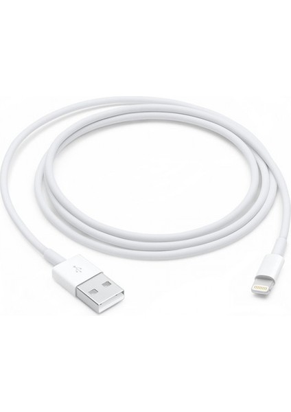 Apple Lightning - USB Kablosu (1 M) - MXLY2ZM/A