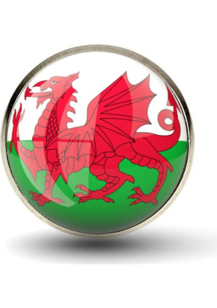 Galler Wales Yaka Rozeti Britanya Adaları Ejder Resimli Camlı Çelik Rozet